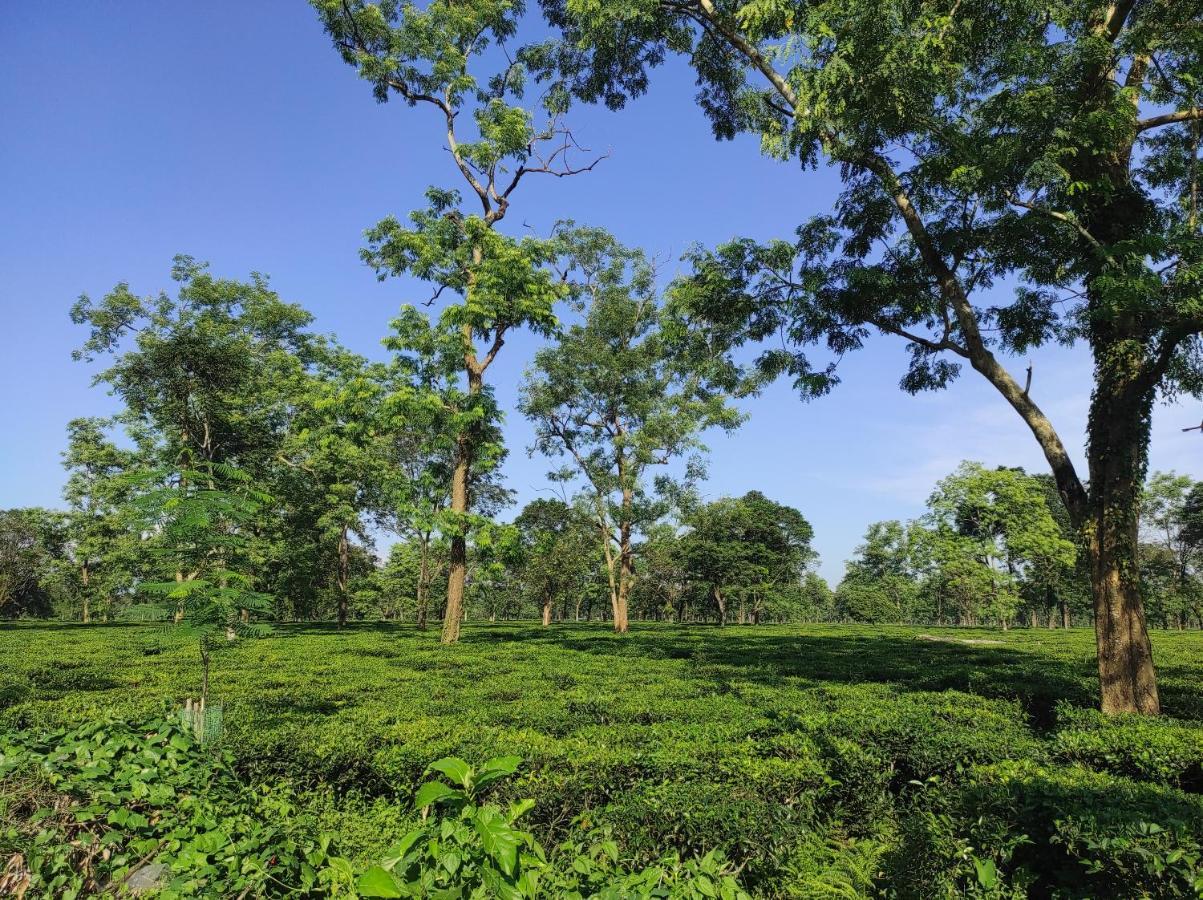 Manas Green Home Stay Jyoti Gaon エクステリア 写真