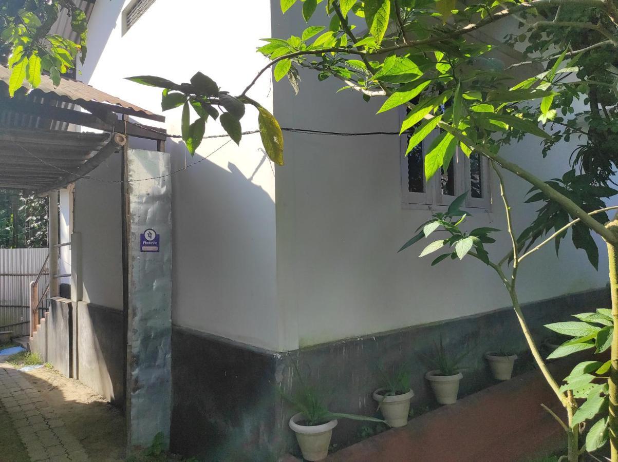 Manas Green Home Stay Jyoti Gaon エクステリア 写真